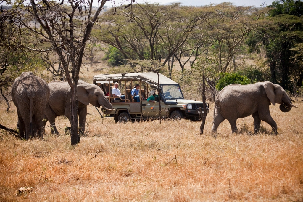 Game drive at naibosho conservancy.cru.small