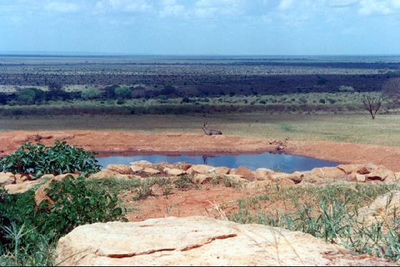 Salt Lick Lodge, Safari to Tsavo East, Safari from Mombasa - Tsavo East National Park