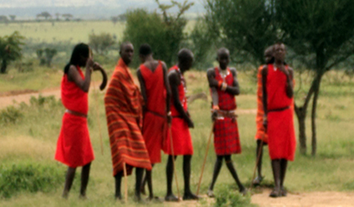 African Safari, Africa Safari Tours and Holidays, Kenya and Tanzania Safaris - Cruzeiro Safaris