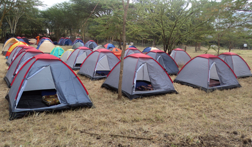 Camping Safari and Tents for Hire 