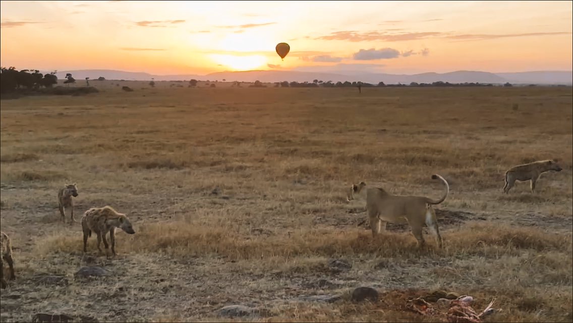 africa tour, balloon rides, masai mara - Africa 