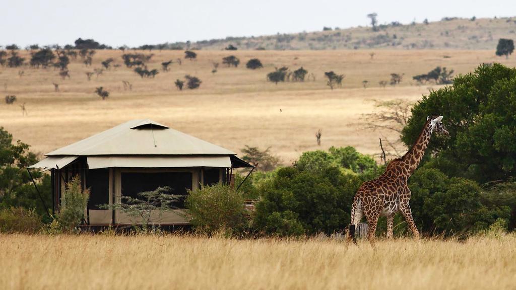 masai mara luxury camp olare kempinski