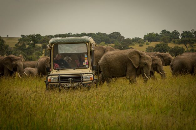 karen blixen camp cruzeiro safari game drive 1 1