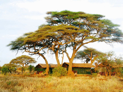 Tsavo Safari from Mombasa, Mombasa Safaris - kobooutside