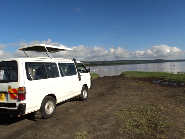 safariminibusonnakurushoresbycruzeirosafaris