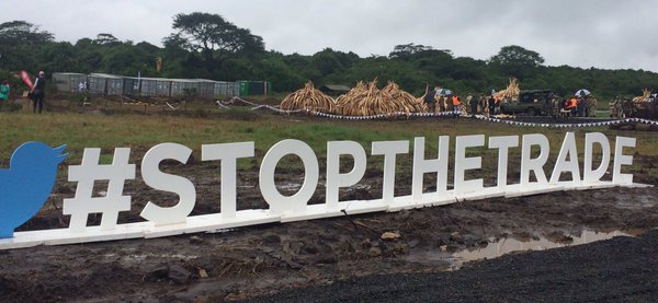 Support wildlife protection efforts and raise awareness against illegal animal trade with the #StopTheTrade hashtag