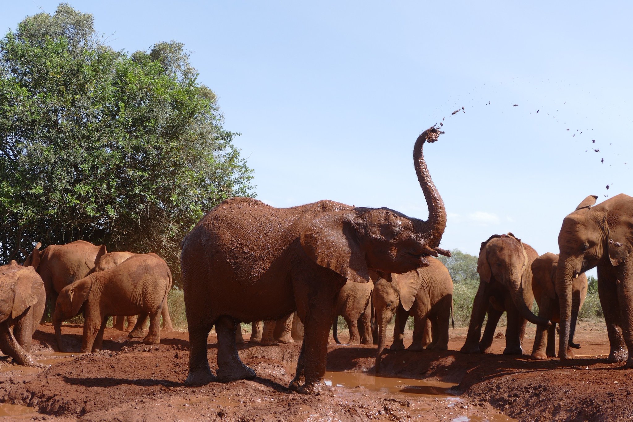 Safari vehicle and tourists enjoying a game drive in Kenya – all-inclusive safari packages by Cruzeiro Safaris Kenya