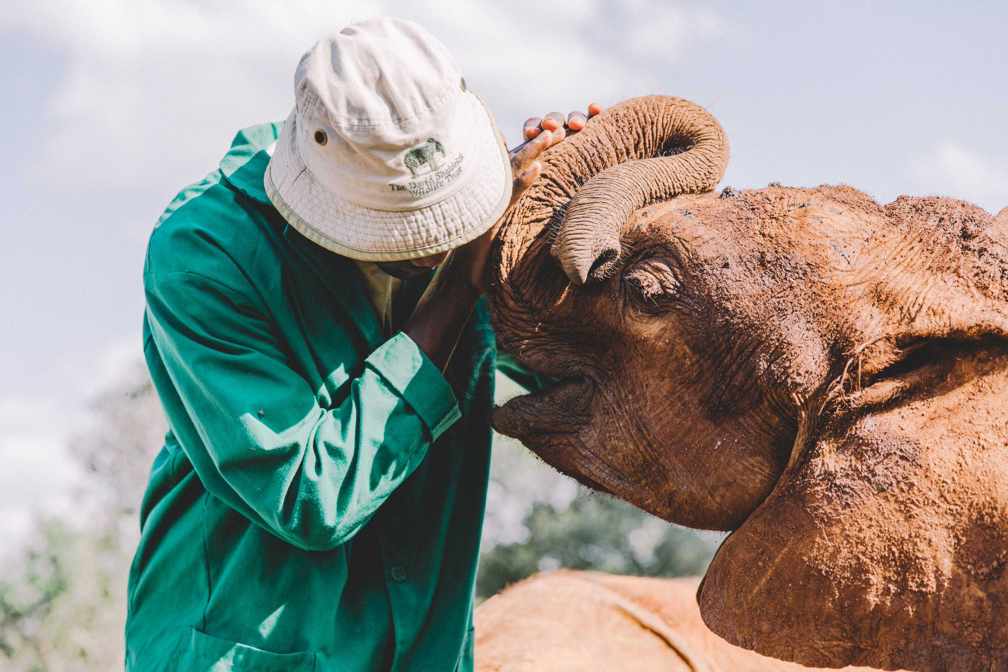 Elephant Orphanage and Giraffe Centre Tour Nairobi | Cruzeiro Safaris Kenya