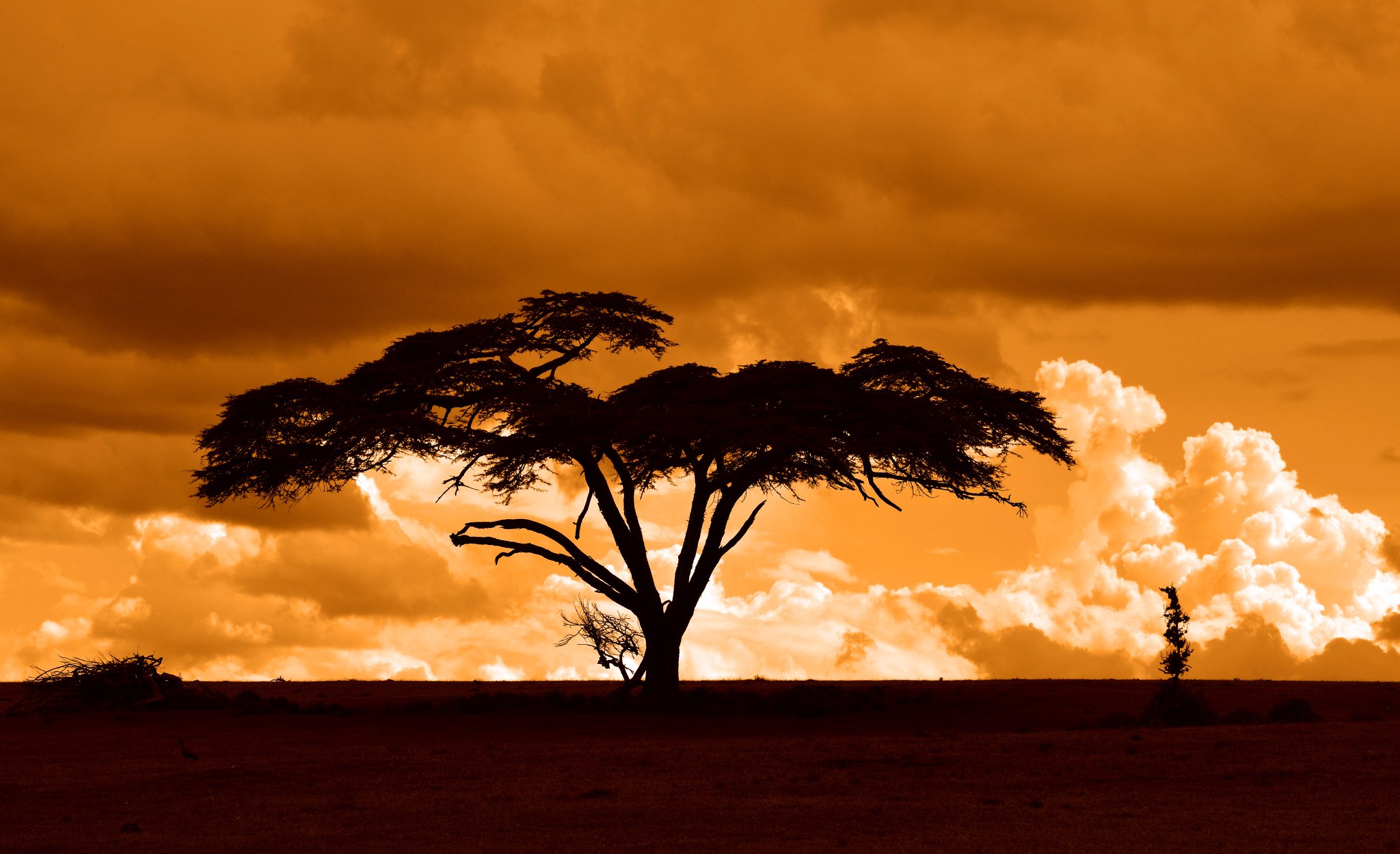 Expansive open landscapes of Masai Mara, showcasing the beauty of Kenya's luxury safari destinations.