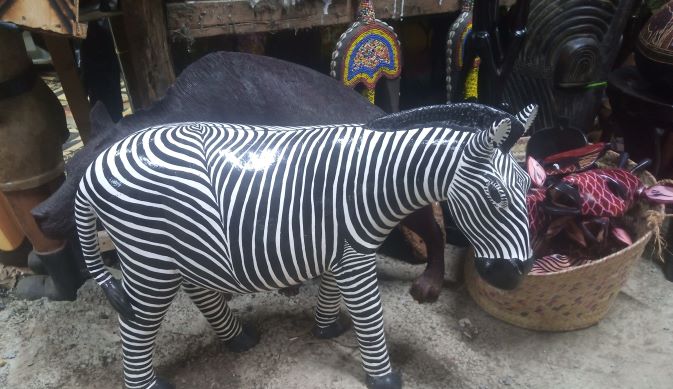 zebra_cruzeirosafaris_1.jpg